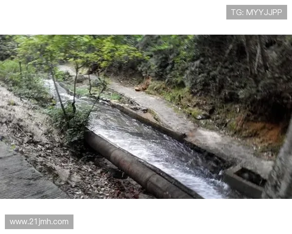 李伟独家分享攀岩技巧与心得体会助你征服高峰挑战自我极限