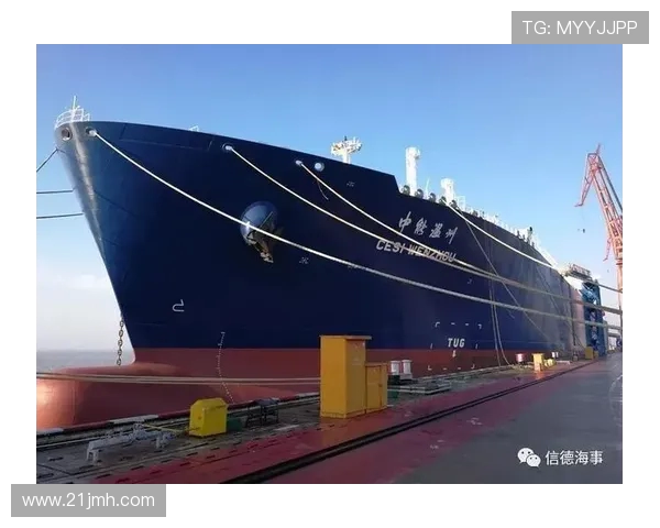 LNG在世界冠军杯中的团队配合分析与表现评估