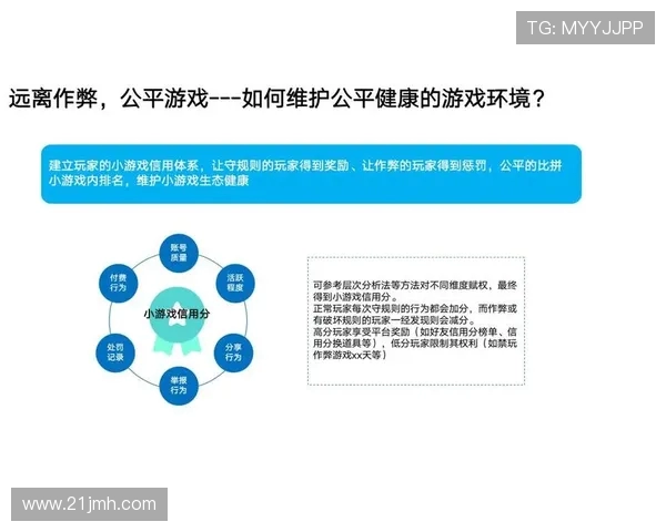 武汉排球队的战术创新与运营体系分析探讨